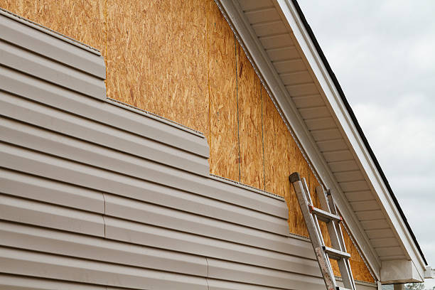 Professional Siding Contractor technician working in Rice, MN